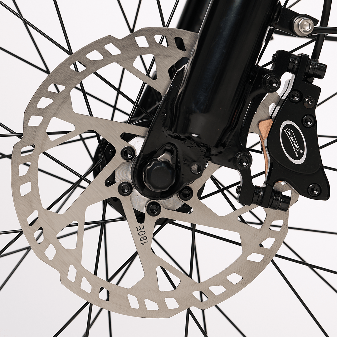 Oil Disk Brake